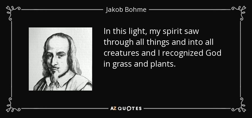 In this light, my spirit saw through all things and into all creatures and I recognized God in grass and plants. - Jakob Bohme