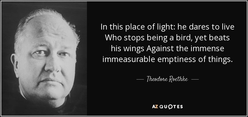 In this place of light: he dares to live Who stops being a bird, yet beats his wings Against the immense immeasurable emptiness of things. - Theodore Roethke