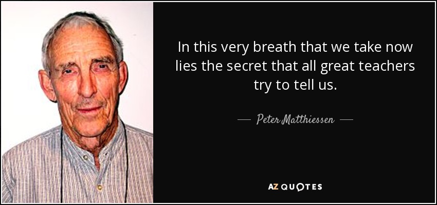 In this very breath that we take now lies the secret that all great teachers try to tell us. - Peter Matthiessen