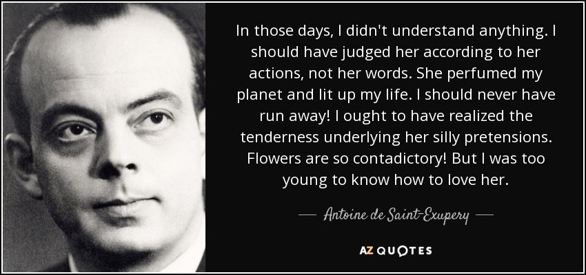 In those days, I didn't understand anything. I should have judged her according to her actions, not her words. She perfumed my planet and lit up my life. I should never have run away! I ought to have realized the tenderness underlying her silly pretensions. Flowers are so contadictory! But I was too young to know how to love her. - Antoine de Saint-Exupery