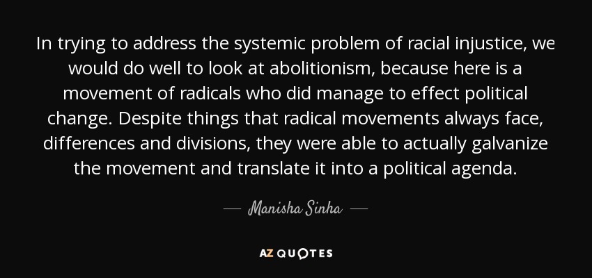 In trying to address the systemic problem of racial injustice, we would do well to look at abolitionism, because here is a movement of radicals who did manage to effect political change. Despite things that radical movements always face, differences and divisions, they were able to actually galvanize the movement and translate it into a political agenda. - Manisha Sinha