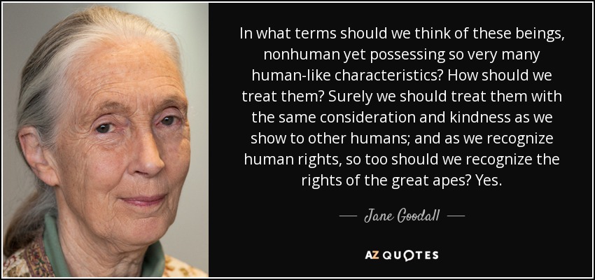 In what terms should we think of these beings, nonhuman yet possessing so very many human-like characteristics? How should we treat them? Surely we should treat them with the same consideration and kindness as we show to other humans; and as we recognize human rights, so too should we recognize the rights of the great apes? Yes. - Jane Goodall