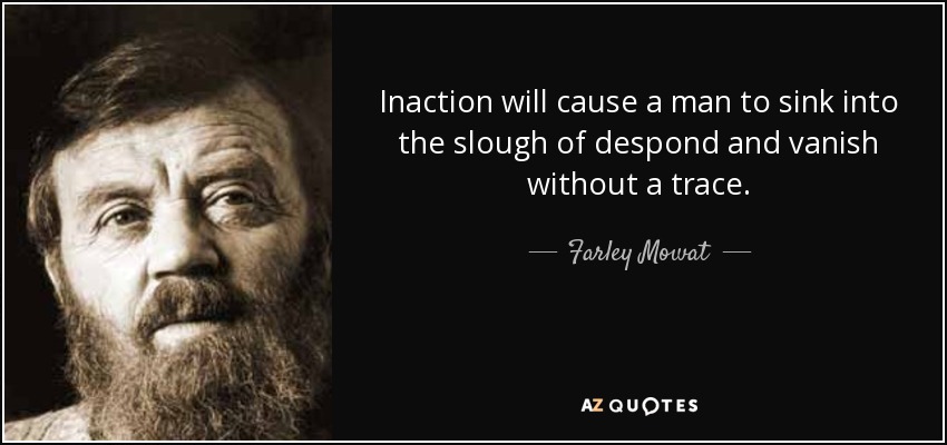 Inaction will cause a man to sink into the slough of despond and vanish without a trace. - Farley Mowat