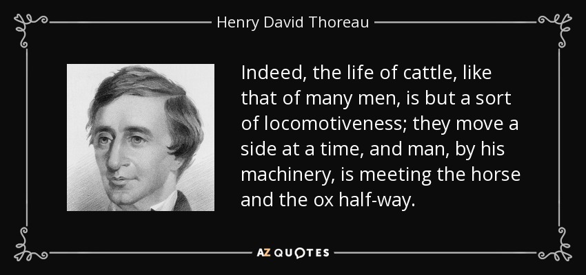 Indeed, the life of cattle, like that of many men, is but a sort of locomotiveness; they move a side at a time, and man, by his machinery, is meeting the horse and the ox half-way. - Henry David Thoreau