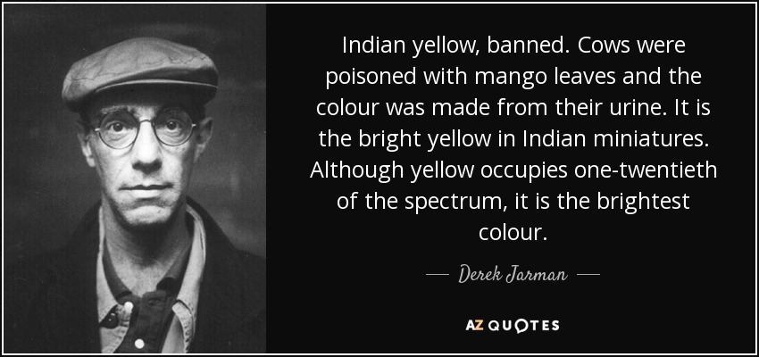 Indian yellow, banned. Cows were poisoned with mango leaves and the colour was made from their urine. It is the bright yellow in Indian miniatures. Although yellow occupies one-twentieth of the spectrum, it is the brightest colour. - Derek Jarman