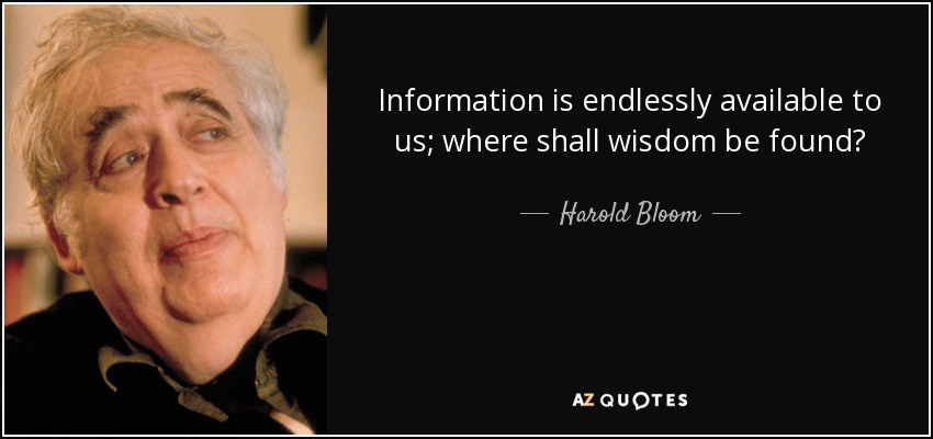 Information is endlessly available to us; where shall wisdom be found? - Harold Bloom