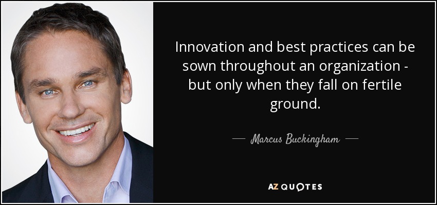 Innovation and best practices can be sown throughout an organization - but only when they fall on fertile ground. - Marcus Buckingham