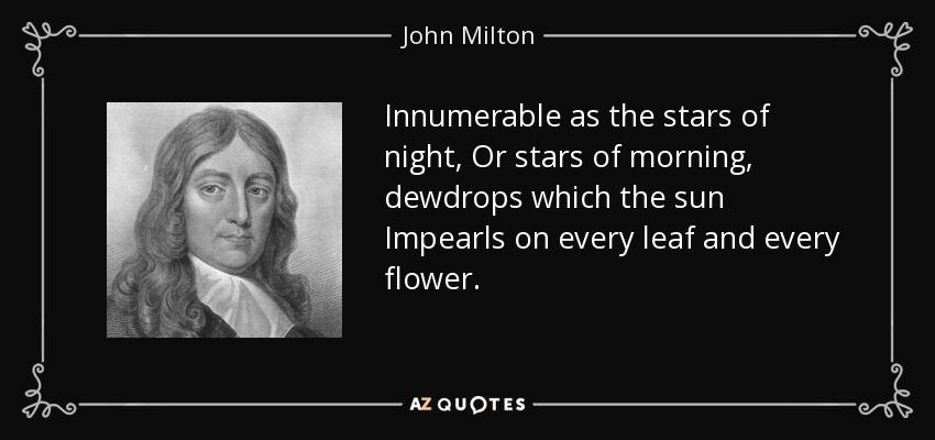 Innumerable as the stars of night, Or stars of morning, dewdrops which the sun Impearls on every leaf and every flower. - John Milton