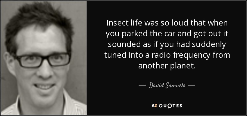 Insect life was so loud that when you parked the car and got out it sounded as if you had suddenly tuned into a radio frequency from another planet. - David Samuels