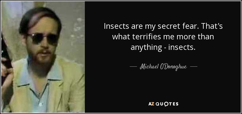 Insects are my secret fear. That's what terrifies me more than anything - insects. - Michael O'Donoghue
