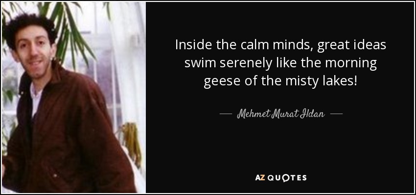Inside the calm minds, great ideas swim serenely like the morning geese of the misty lakes! - Mehmet Murat Ildan
