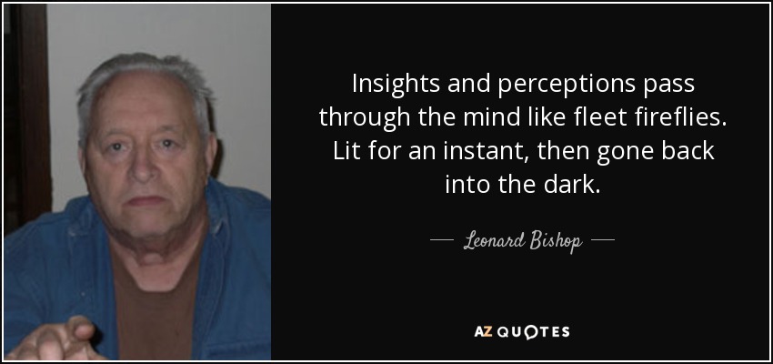 Insights and perceptions pass through the mind like fleet fireflies. Lit for an instant, then gone back into the dark. - Leonard Bishop