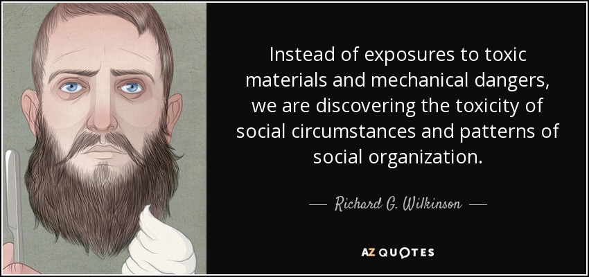Instead of exposures to toxic materials and mechanical dangers, we are discovering the toxicity of social circumstances and patterns of social organization. - Richard G. Wilkinson