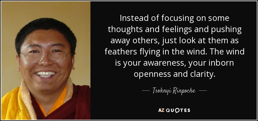 Instead of focusing on some thoughts and feelings and pushing away others, just look at them as feathers flying in the wind. The wind is your awareness, your inborn openness and clarity. - Tsoknyi Rinpoche