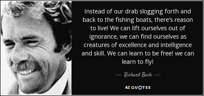 Instead of our drab slogging forth and back to the fishing boats, there's reason to live! We can lift ourselves out of ignorance, we can find ourselves as creatures of excellence and intelligence and skill. We can learn to be free! we can learn to fly! - Richard Bach