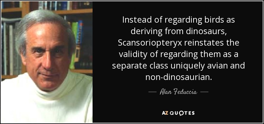 Instead of regarding birds as deriving from dinosaurs, Scansoriopteryx reinstates the validity of regarding them as a separate class uniquely avian and non-dinosaurian. - Alan Feduccia