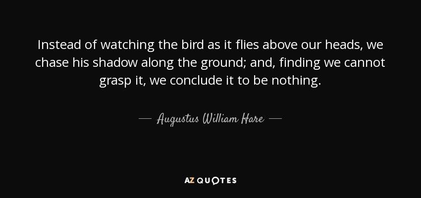 Instead of watching the bird as it flies above our heads, we chase his shadow along the ground; and, finding we cannot grasp it, we conclude it to be nothing. - Augustus William Hare