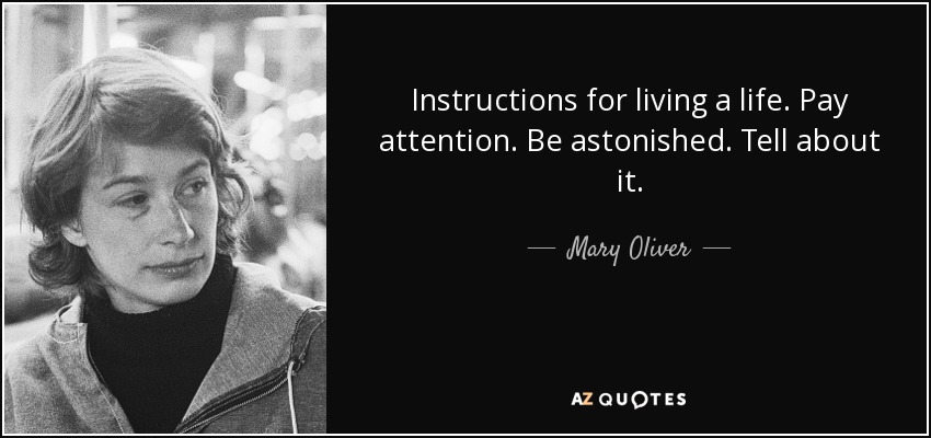 Instructions for living a life. Pay attention. Be astonished. Tell about it. - Mary Oliver