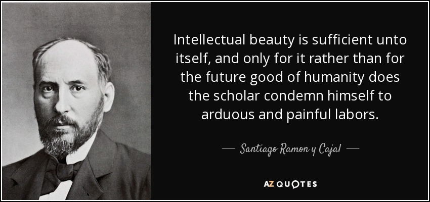 Intellectual beauty is sufficient unto itself, and only for it rather than for the future good of humanity does the scholar condemn himself to arduous and painful labors. - Santiago Ramon y Cajal