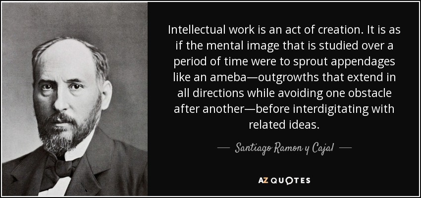 Intellectual work is an act of creation. It is as if the mental image that is studied over a period of time were to sprout appendages like an ameba—outgrowths that extend in all directions while avoiding one obstacle after another—before interdigitating with related ideas. - Santiago Ramon y Cajal