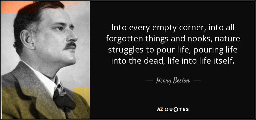 Into every empty corner, into all forgotten things and nooks, nature struggles to pour life, pouring life into the dead, life into life itself. - Henry Beston