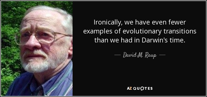 Ironically, we have even fewer examples of evolutionary transitions than we had in Darwin's time. - David M. Raup