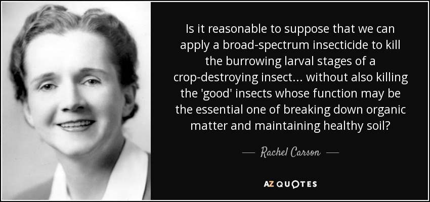 Is it reasonable to suppose that we can apply a broad-spectrum insecticide to kill the burrowing larval stages of a crop-destroying insect ... without also killing the 'good' insects whose function may be the essential one of breaking down organic matter and maintaining healthy soil? - Rachel Carson