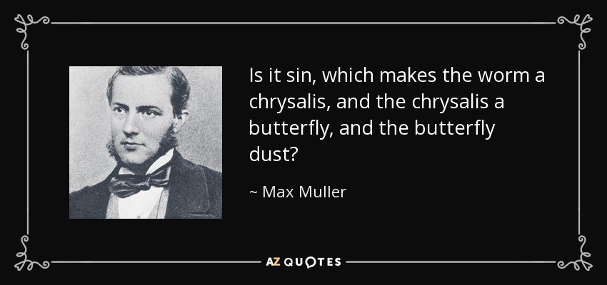 Is it sin, which makes the worm a chrysalis, and the chrysalis a butterfly, and the butterfly dust? - Max Muller