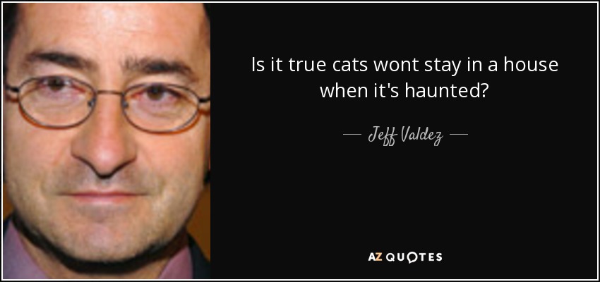 Is it true cats wont stay in a house when it's haunted? - Jeff Valdez