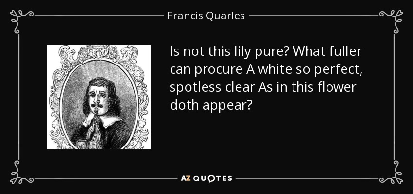 Is not this lily pure? What fuller can procure A white so perfect, spotless clear As in this flower doth appear? - Francis Quarles