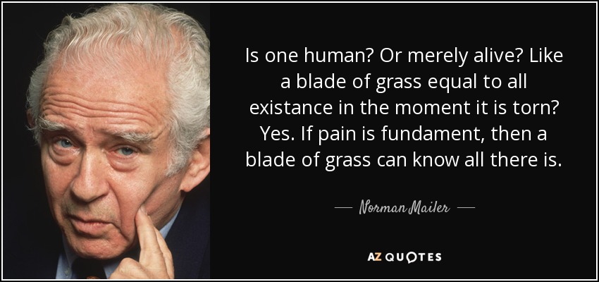 Is one human? Or merely alive? Like a blade of grass equal to all existance in the moment it is torn? Yes. If pain is fundament, then a blade of grass can know all there is. - Norman Mailer