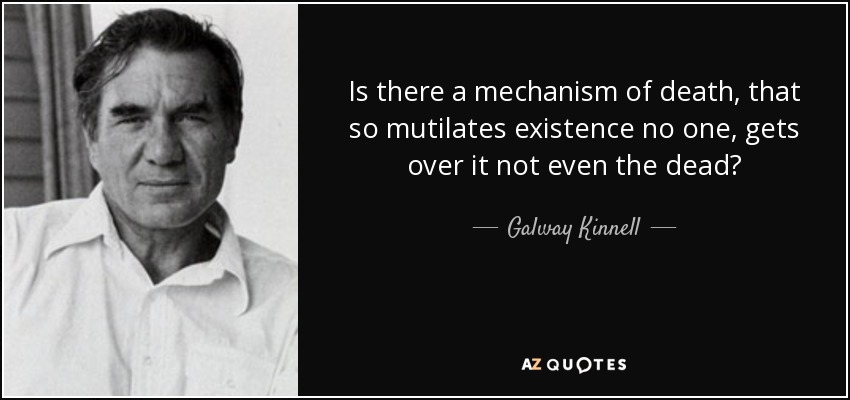 Is there a mechanism of death, that so mutilates existence no one, gets over it not even the dead? - Galway Kinnell