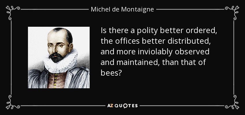 Is there a polity better ordered, the offices better distributed, and more inviolably observed and maintained, than that of bees? - Michel de Montaigne