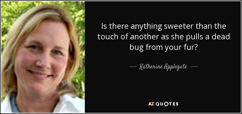 Is there anything sweeter than the touch of another as she pulls a dead bug from your fur? - Katherine Applegate