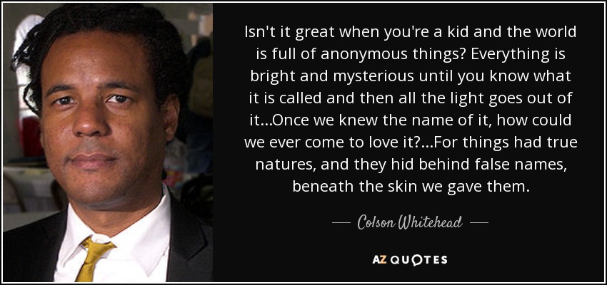 Isn't it great when you're a kid and the world is full of anonymous things? Everything is bright and mysterious until you know what it is called and then all the light goes out of it...Once we knew the name of it, how could we ever come to love it?...For things had true natures, and they hid behind false names, beneath the skin we gave them. - Colson Whitehead
