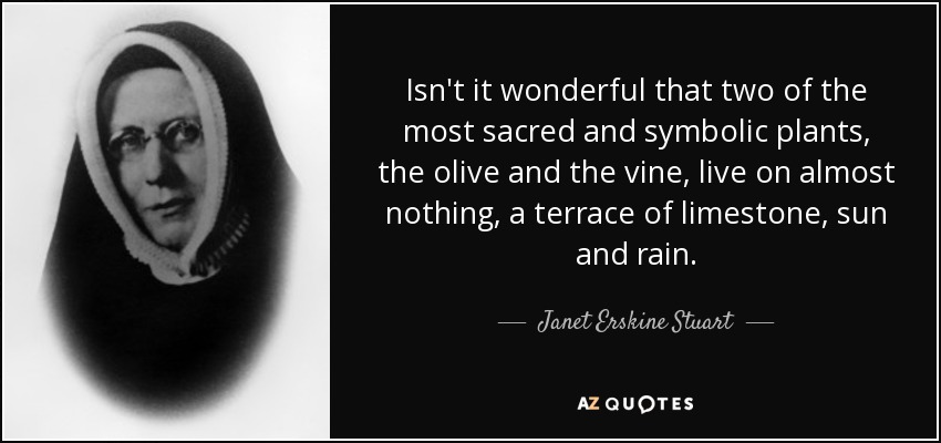 Isn't it wonderful that two of the most sacred and symbolic plants, the olive and the vine, live on almost nothing, a terrace of limestone, sun and rain. - Janet Erskine Stuart