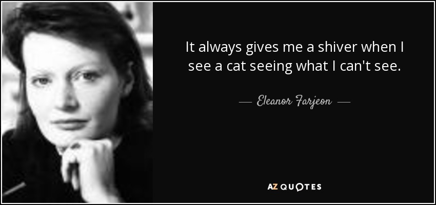 It always gives me a shiver when I see a cat seeing what I can't see. - Eleanor Farjeon