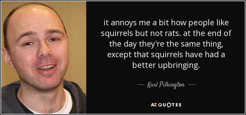 it annoys me a bit how people like squirrels but not rats. at the end of the day they're the same thing, except that squirrels have had a better upbringing. - Karl Pilkington