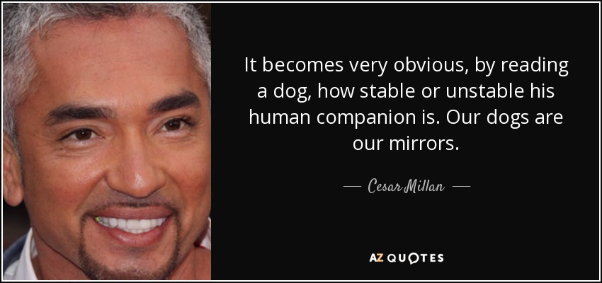 It becomes very obvious, by reading a dog, how stable or unstable his human companion is. Our dogs are our mirrors. - Cesar Millan