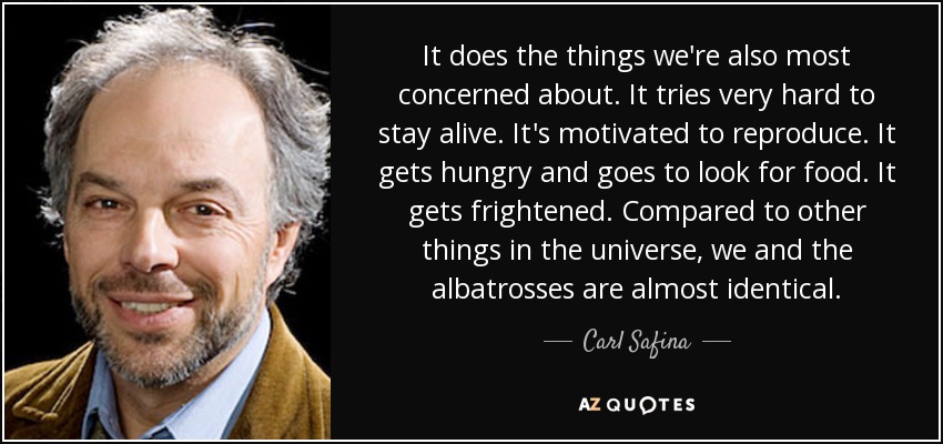 It does the things we're also most concerned about. It tries very hard to stay alive. It's motivated to reproduce. It gets hungry and goes to look for food. It gets frightened. Compared to other things in the universe, we and the albatrosses are almost identical. - Carl Safina
