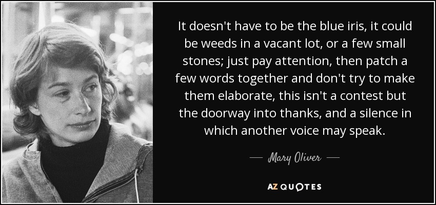 It doesn't have to be the blue iris, it could be weeds in a vacant lot, or a few small stones; just pay attention, then patch a few words together and don't try to make them elaborate, this isn't a contest but the doorway into thanks, and a silence in which another voice may speak. - Mary Oliver