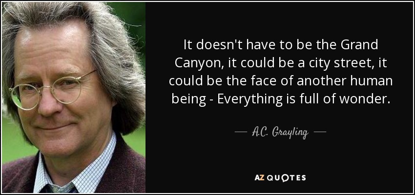 It doesn't have to be the Grand Canyon, it could be a city street, it could be the face of another human being - Everything is full of wonder. - A.C. Grayling
