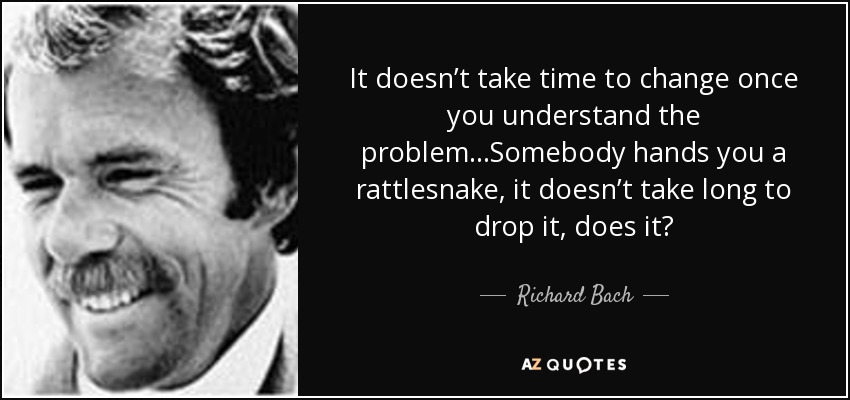 It doesn’t take time to change once you understand the problem...Somebody hands you a rattlesnake, it doesn’t take long to drop it, does it? - Richard Bach