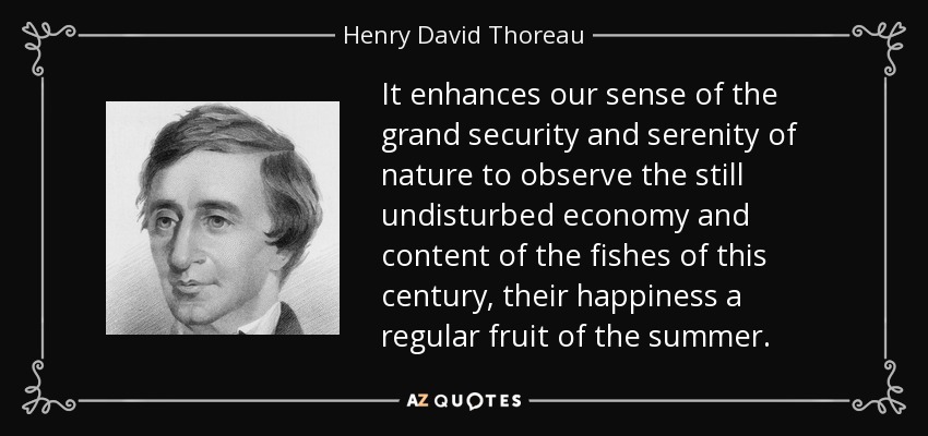 It enhances our sense of the grand security and serenity of nature to observe the still undisturbed economy and content of the fishes of this century, their happiness a regular fruit of the summer. - Henry David Thoreau