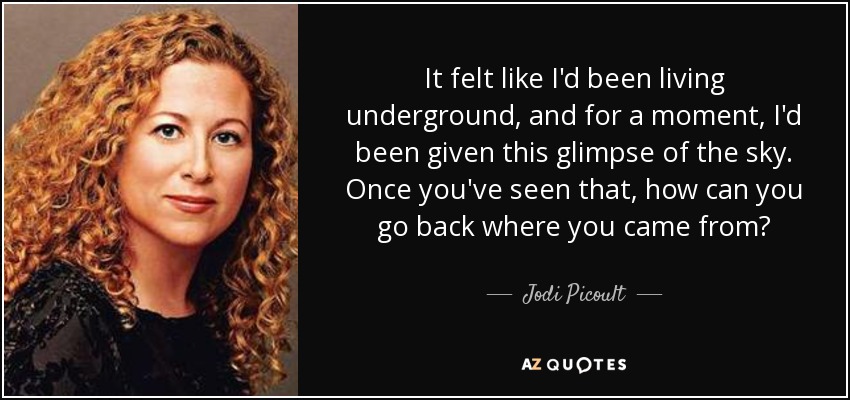 It felt like I'd been living underground, and for a moment, I'd been given this glimpse of the sky. Once you've seen that, how can you go back where you came from? - Jodi Picoult