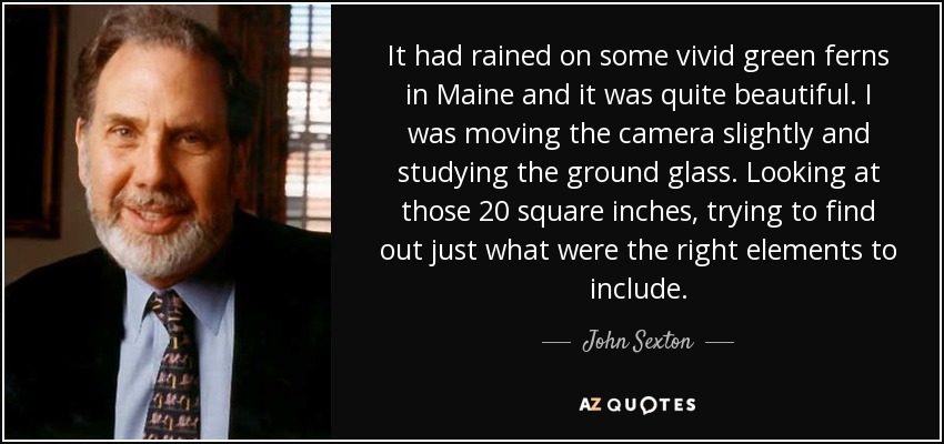 It had rained on some vivid green ferns in Maine and it was quite beautiful. I was moving the camera slightly and studying the ground glass. Looking at those 20 square inches, trying to find out just what were the right elements to include. - John Sexton