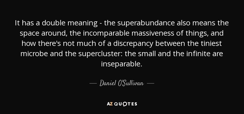 It has a double meaning - the superabundance also means the space around, the incomparable massiveness of things, and how there's not much of a discrepancy between the tiniest microbe and the supercluster: the small and the infinite are inseparable. - Daniel O'Sullivan