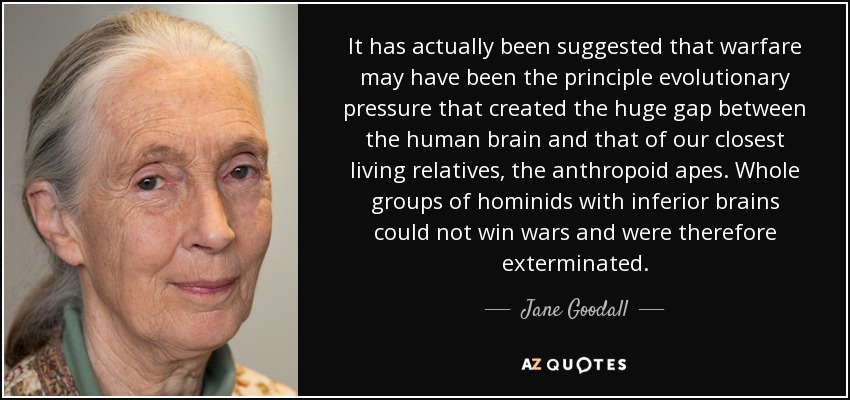 It has actually been suggested that warfare may have been the principle evolutionary pressure that created the huge gap between the human brain and that of our closest living relatives, the anthropoid apes. Whole groups of hominids with inferior brains could not win wars and were therefore exterminated. - Jane Goodall