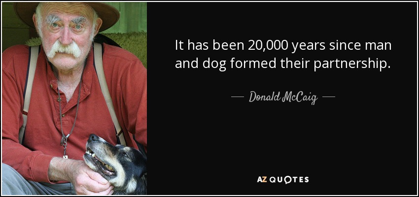 It has been 20,000 years since man and dog formed their partnership. - Donald McCaig