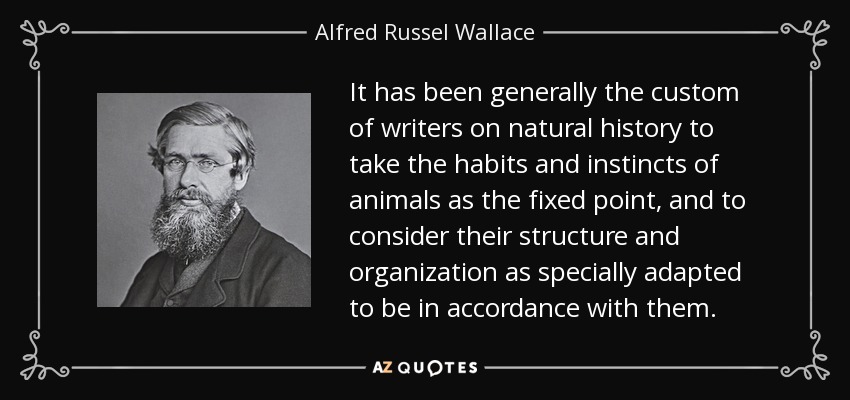 It has been generally the custom of writers on natural history to take the habits and instincts of animals as the fixed point, and to consider their structure and organization as specially adapted to be in accordance with them. - Alfred Russel Wallace